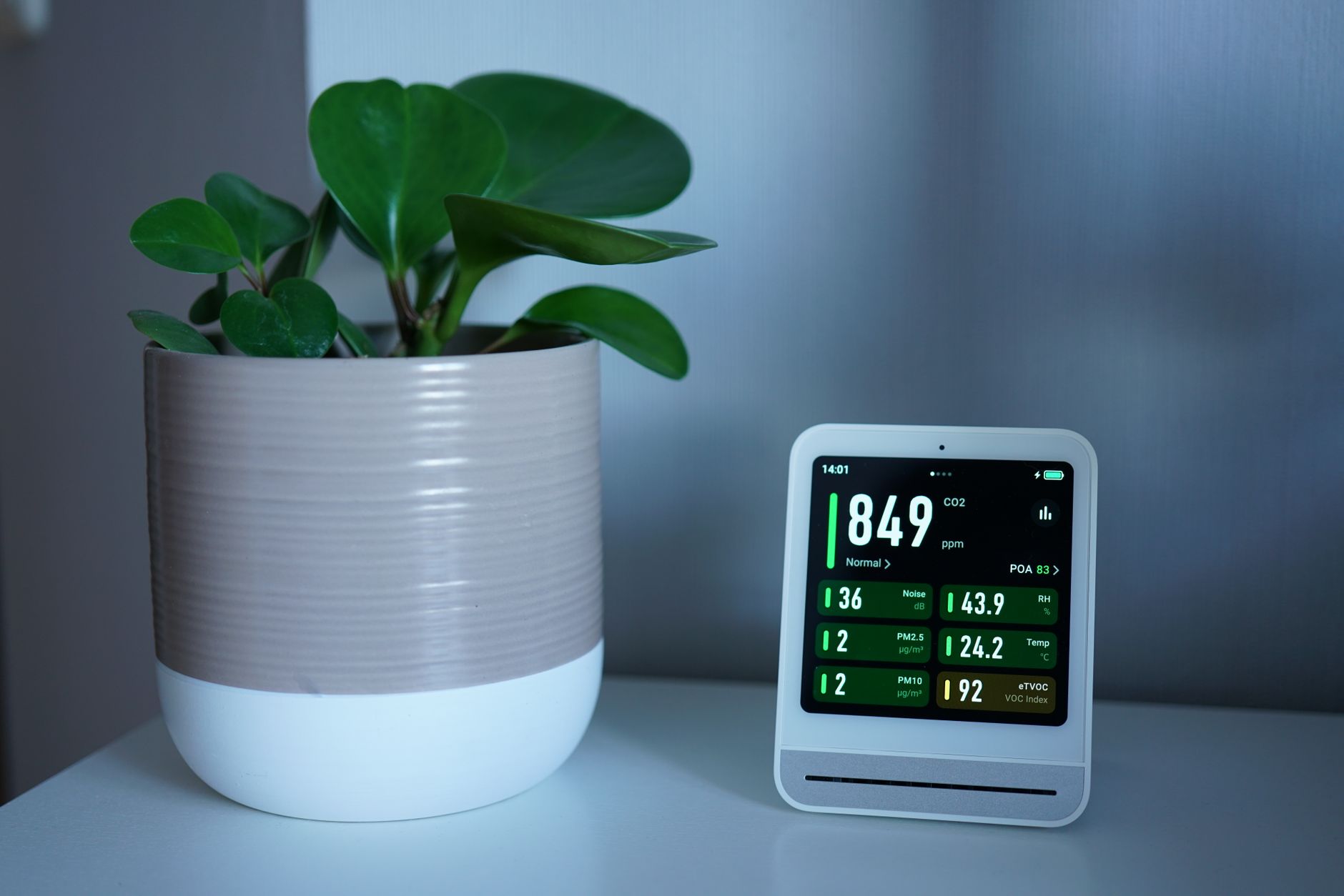 How to Choose the Right Air Purifier for North American Markets