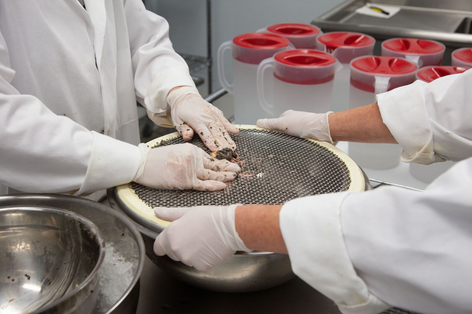 Ozone-Safe Enclosure for Odor Control in Restaurants and Food Processing
